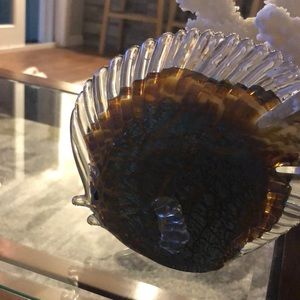 Glass Fish